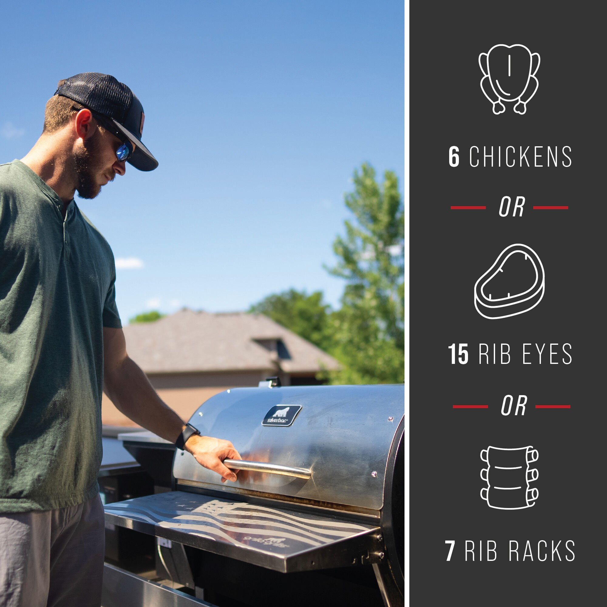 Silverbac Alpha Connect Built-In