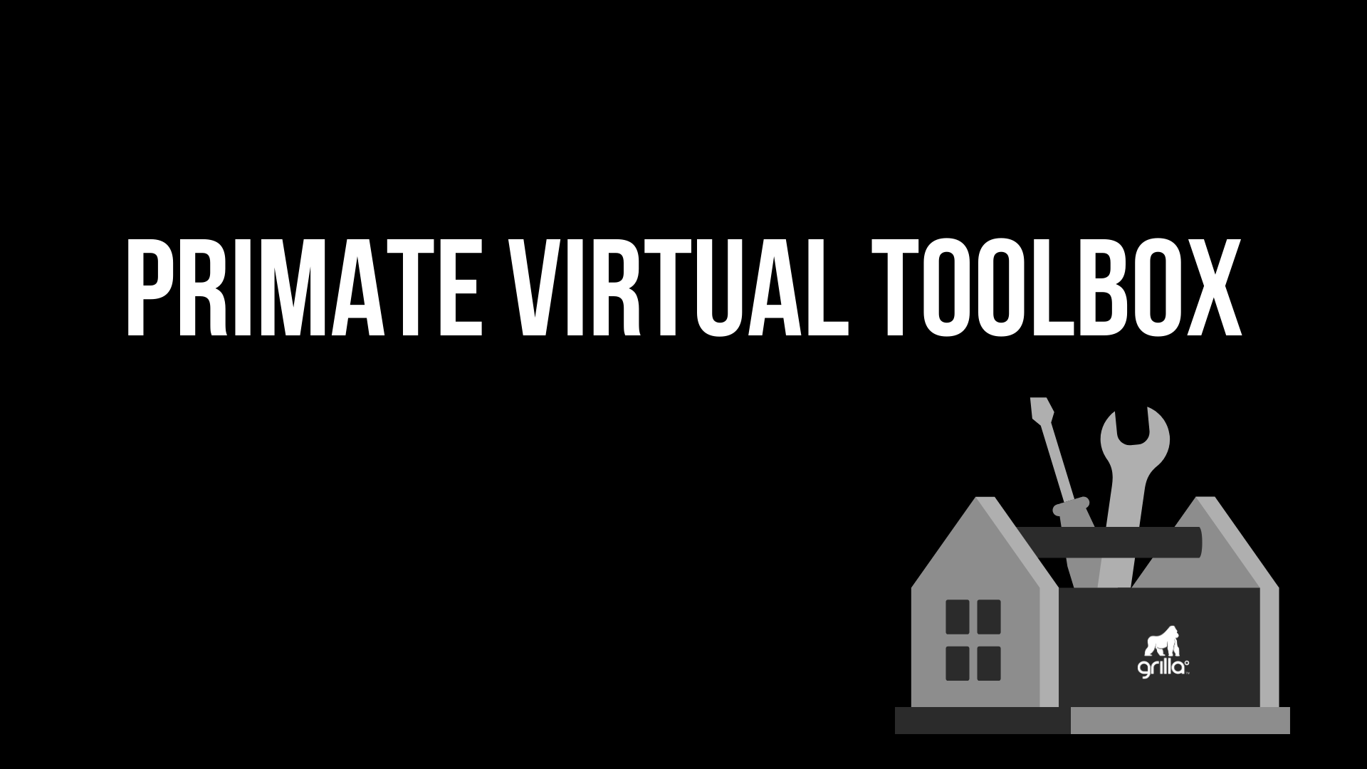 Primate virtual toolbox