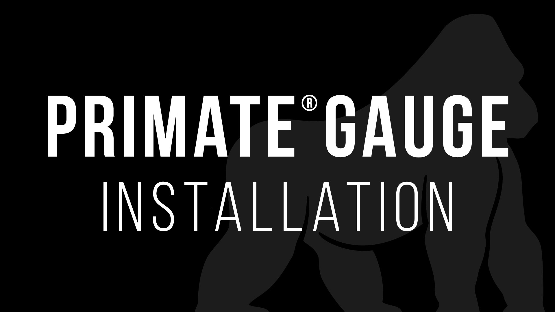 Primate Gauge Installation