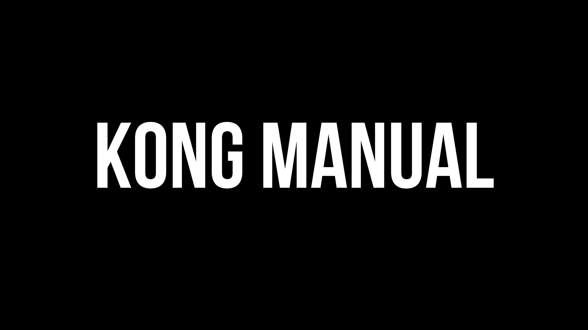 Kong Manual