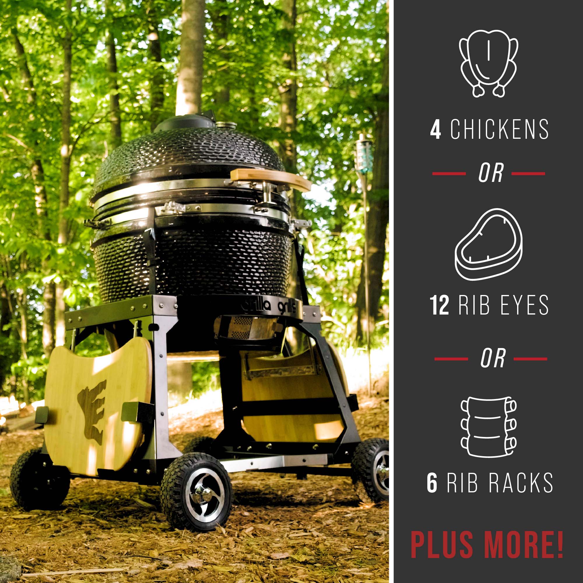 Features 3 - Kong All-Terrain