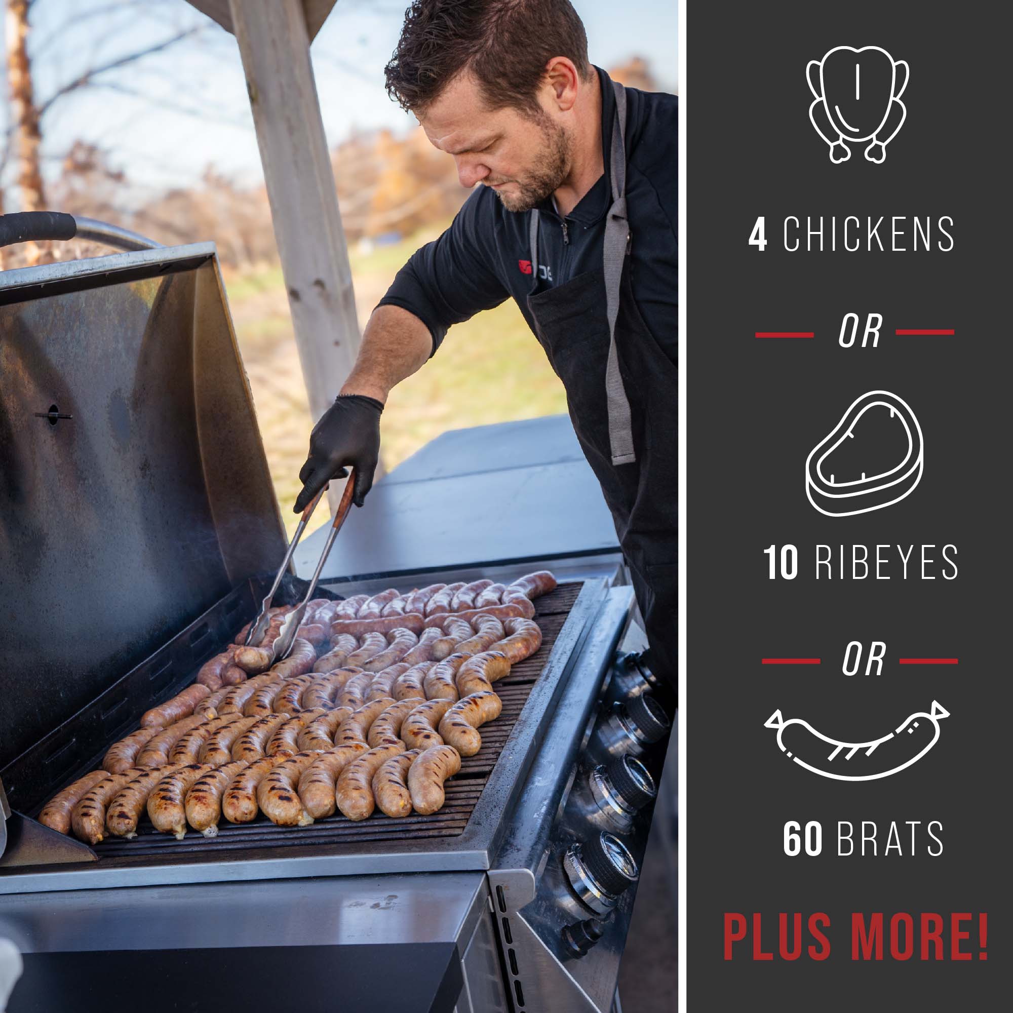 Features 3 - Primate Gas Grill and Griddle